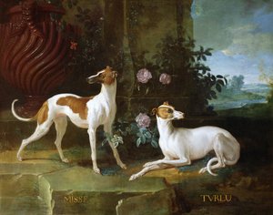 Misse und Turlu, zwei Windhunde von Ludwig XV.